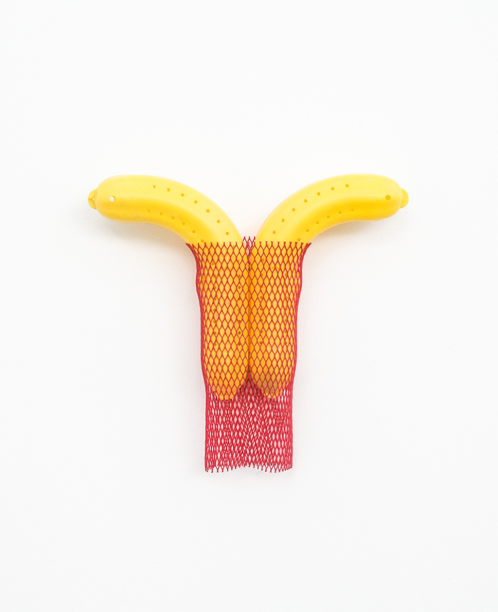 Cibelle Cavalli Bastos, 'Brasilia' 2013.