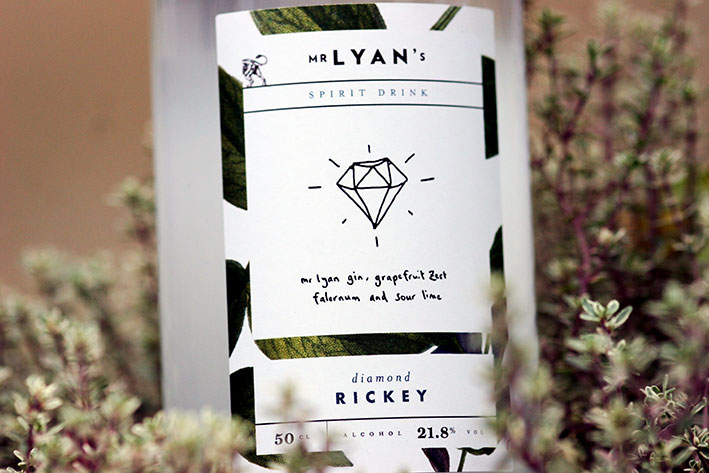 Mr Lyan by Bow & Arrow