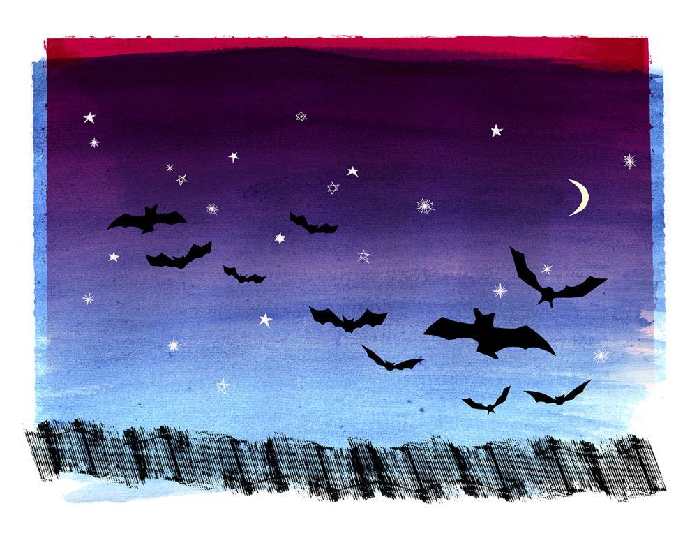 Bats above the reeds