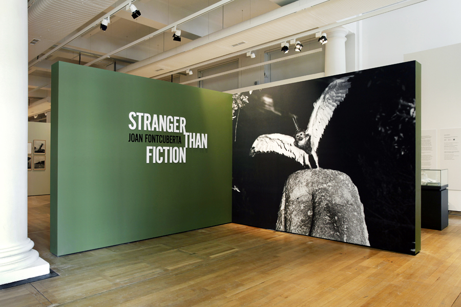 Stranger Than Fiction
