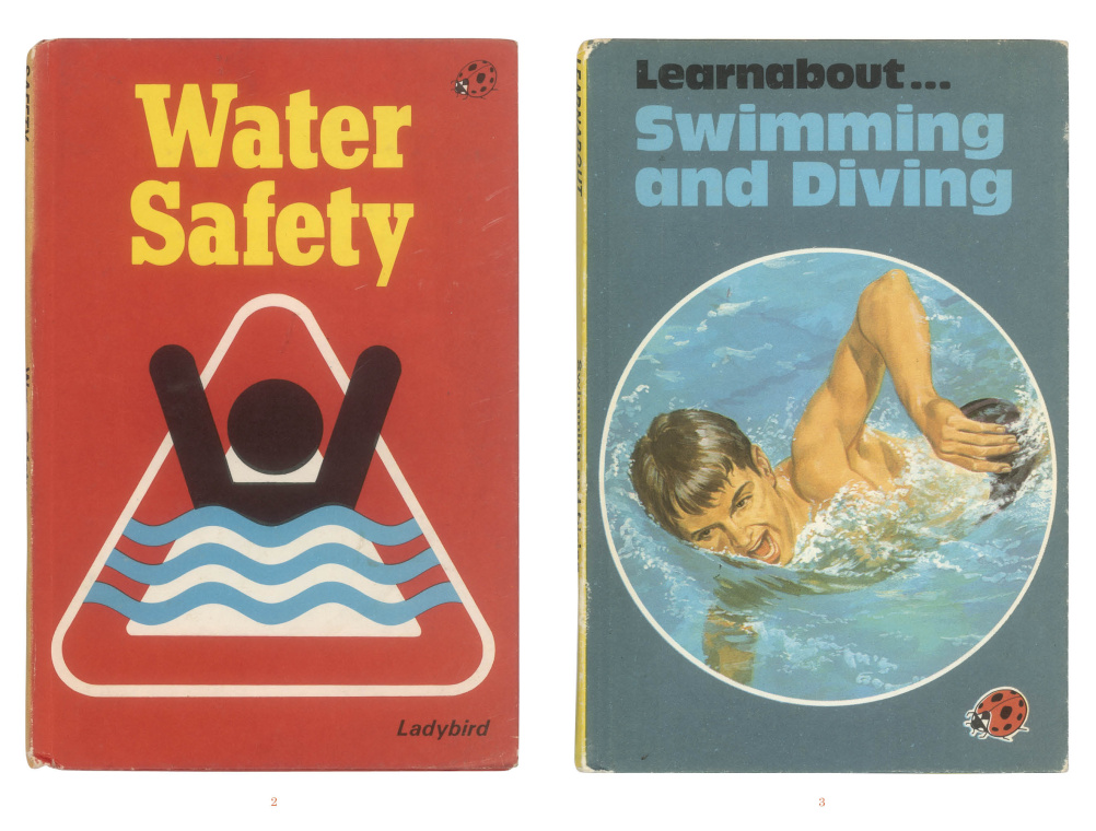 Ladybird: A Cover Story