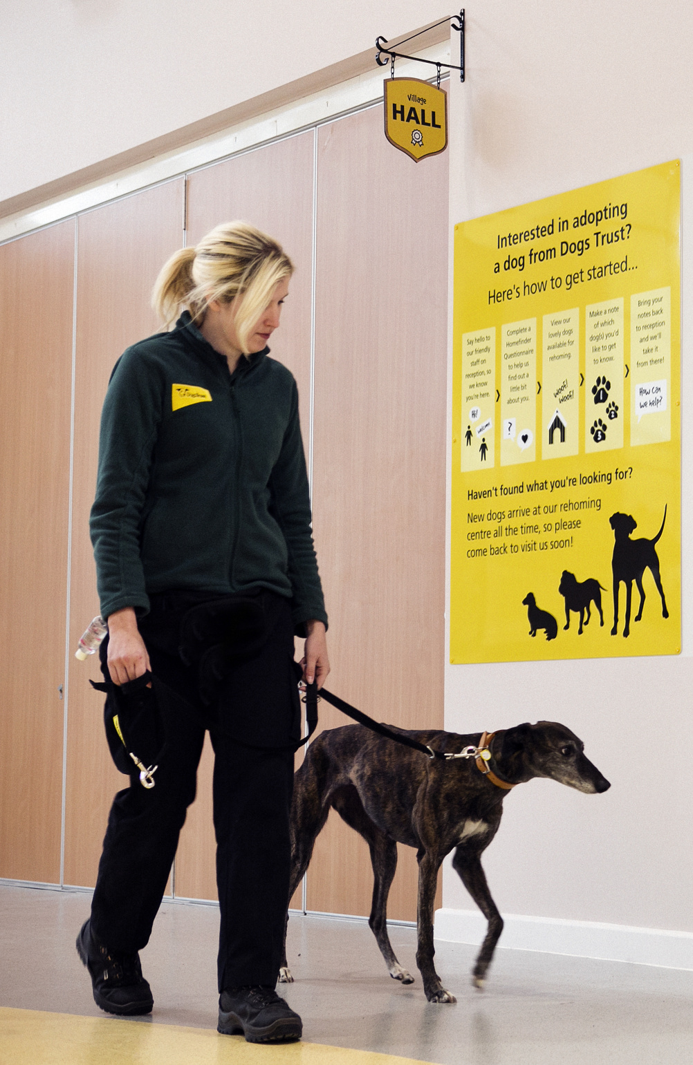 Dogs Trust