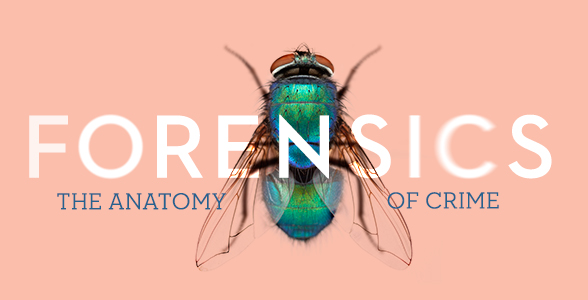 Forensics the Anatomy of Crime