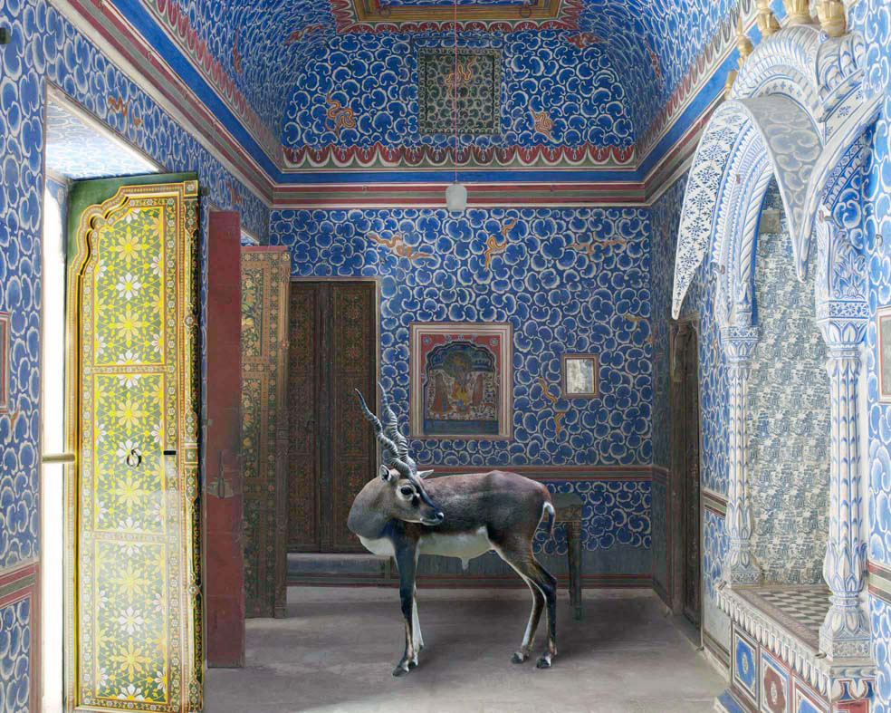 Galerie Les Filles du Calvaire, Karen Knorr, India Song series