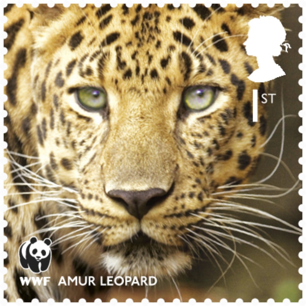 Special Stamps 50th anniversary Royal Mail WWF