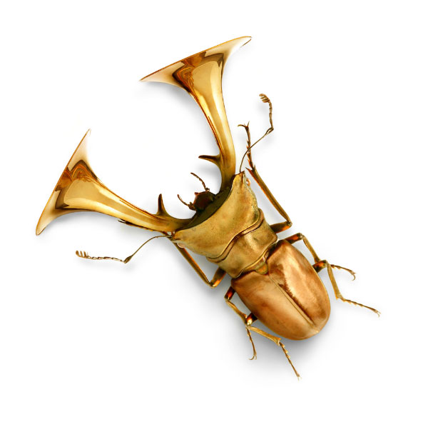 Beetle