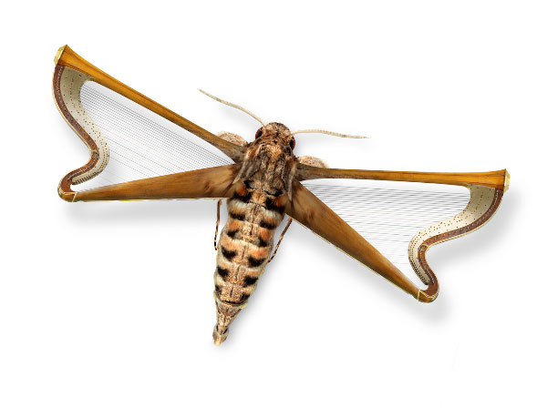 Big moth strike again