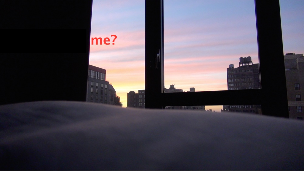 Lucy Clout, 'From Our Own Correspondent', 2015.