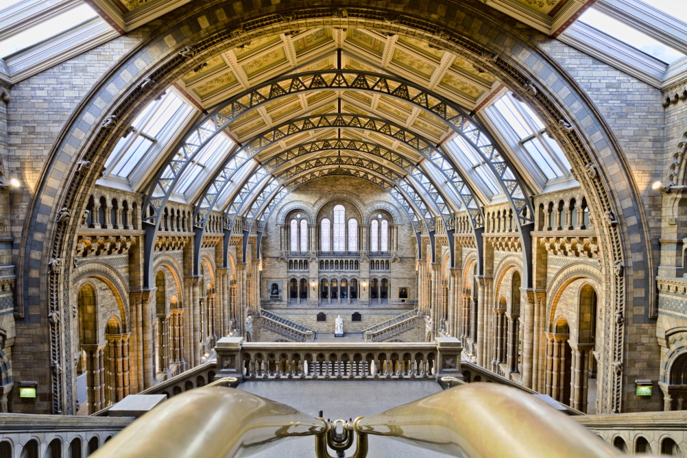 Natural History Museum. Image by flickr user Michael D Beckwith