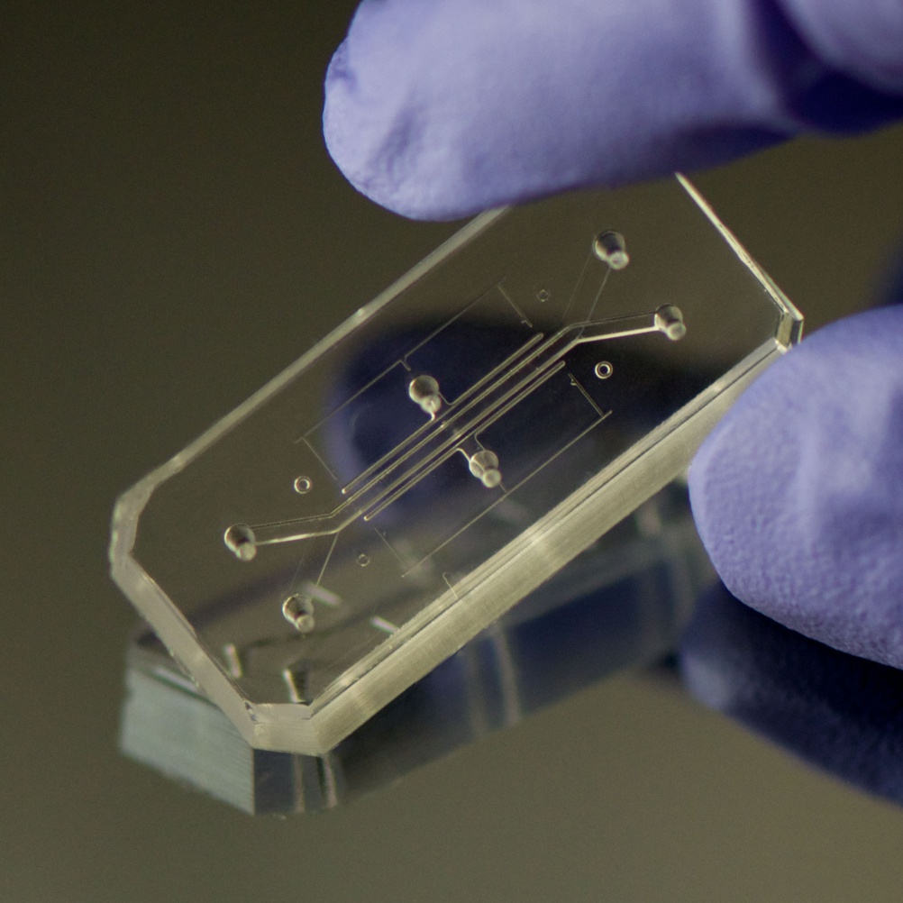 Product: Human Organs-on-chips, by Donald Ingber and Dan Dongeun Huh