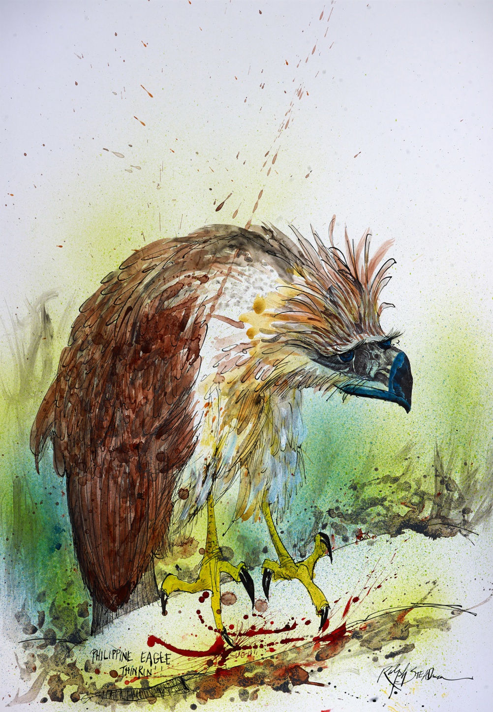 NEXTINCTIONS Philippine Eagle Thinking 521039