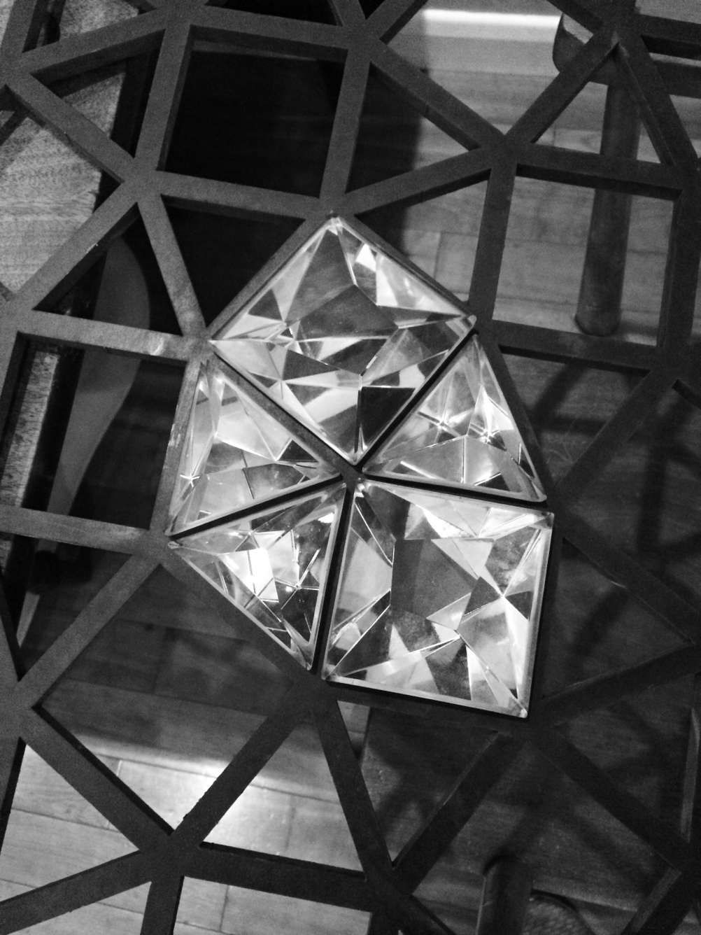 ZETTELER_Ommatidium_Images_14