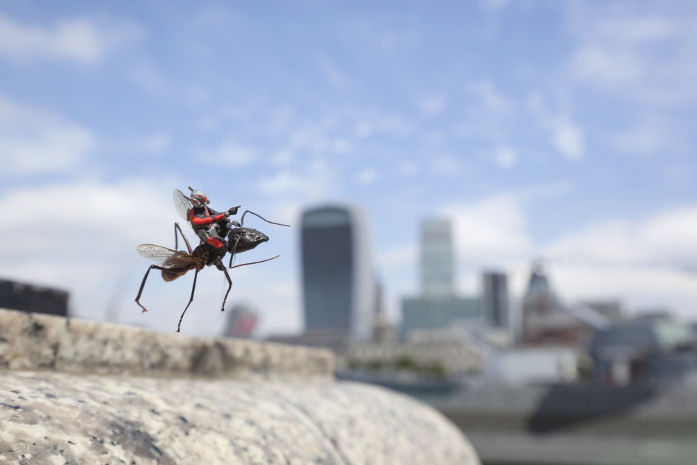 ant man flying 1