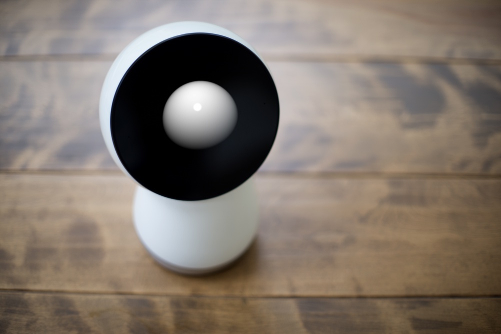 jibo-wood-counter-looking-up-right