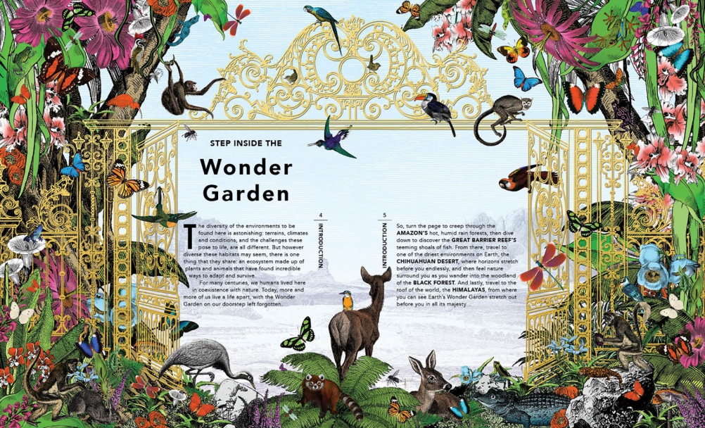 wondergarden_1303_US3-image-thumbnail-1600x971