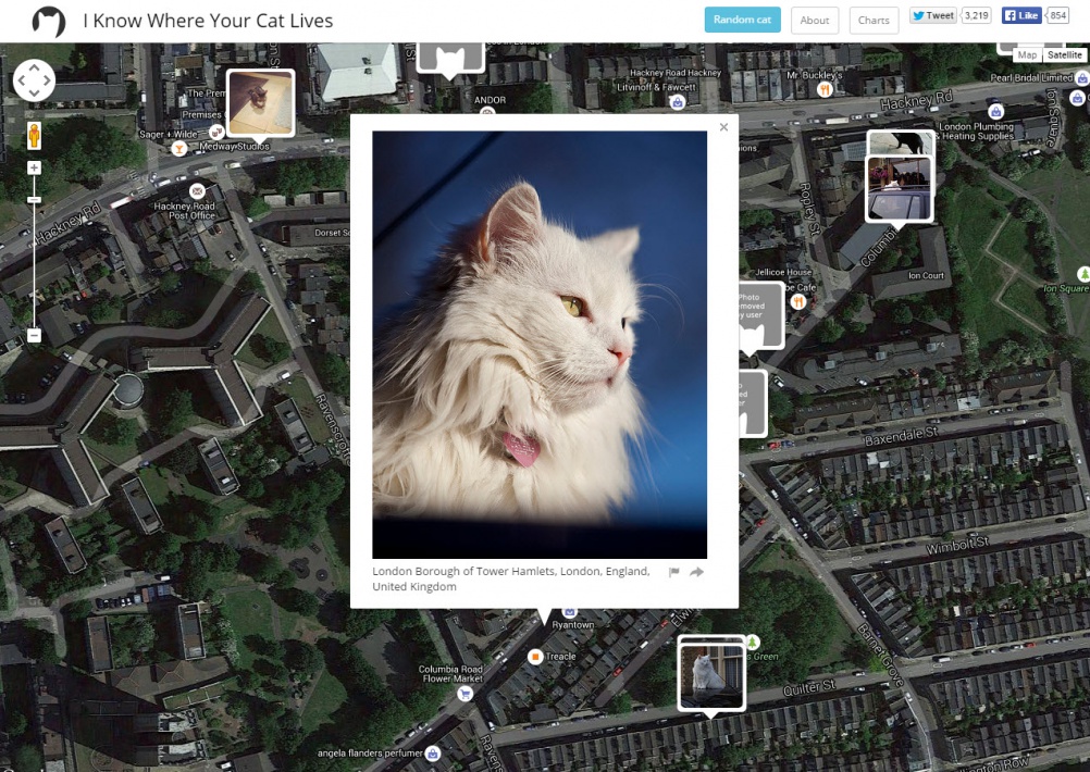 I Know Where Your Cat Lives, Hackney, 2015
