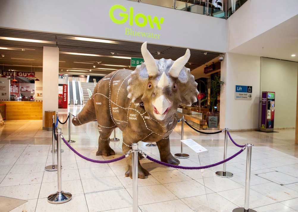 Dino Store