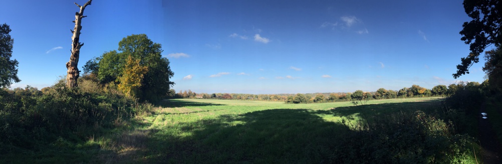 Langley Vale Site Photo