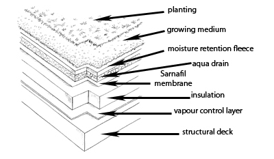 Green roofs cross section diagram