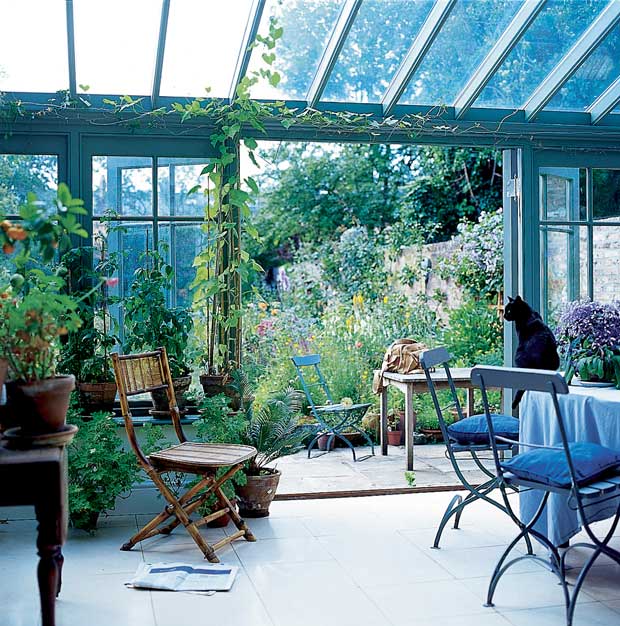Plants growing in a conservatory