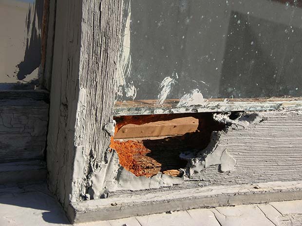 rotting timber frame on a window