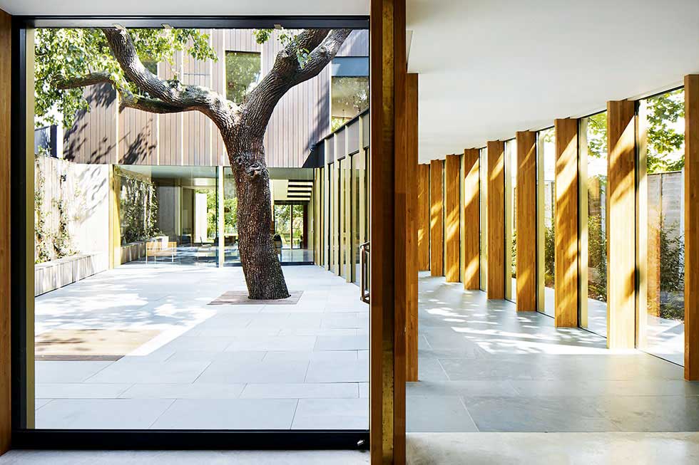 edgley-tree-sliding-doors