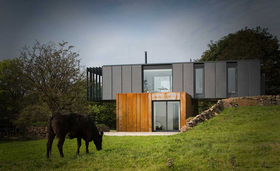 shipping container home in countryside with cow