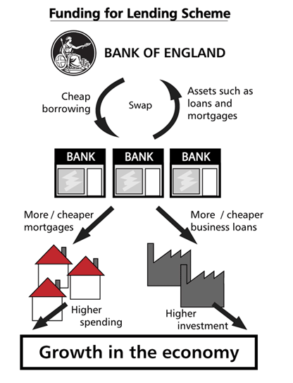 FLS infographic
