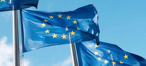 EU Flags European Union 480