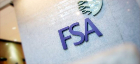 FSA large 480