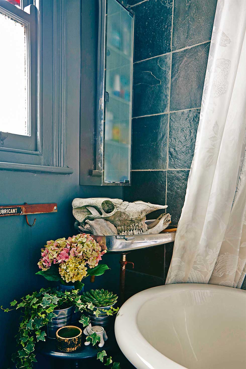 Duplex apartment skull near roll top bath
