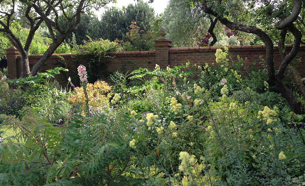 walled garden with wild borders