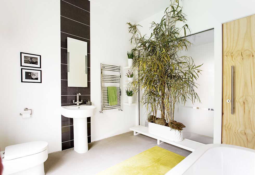 plant filled bathroom in a stone barn conversion