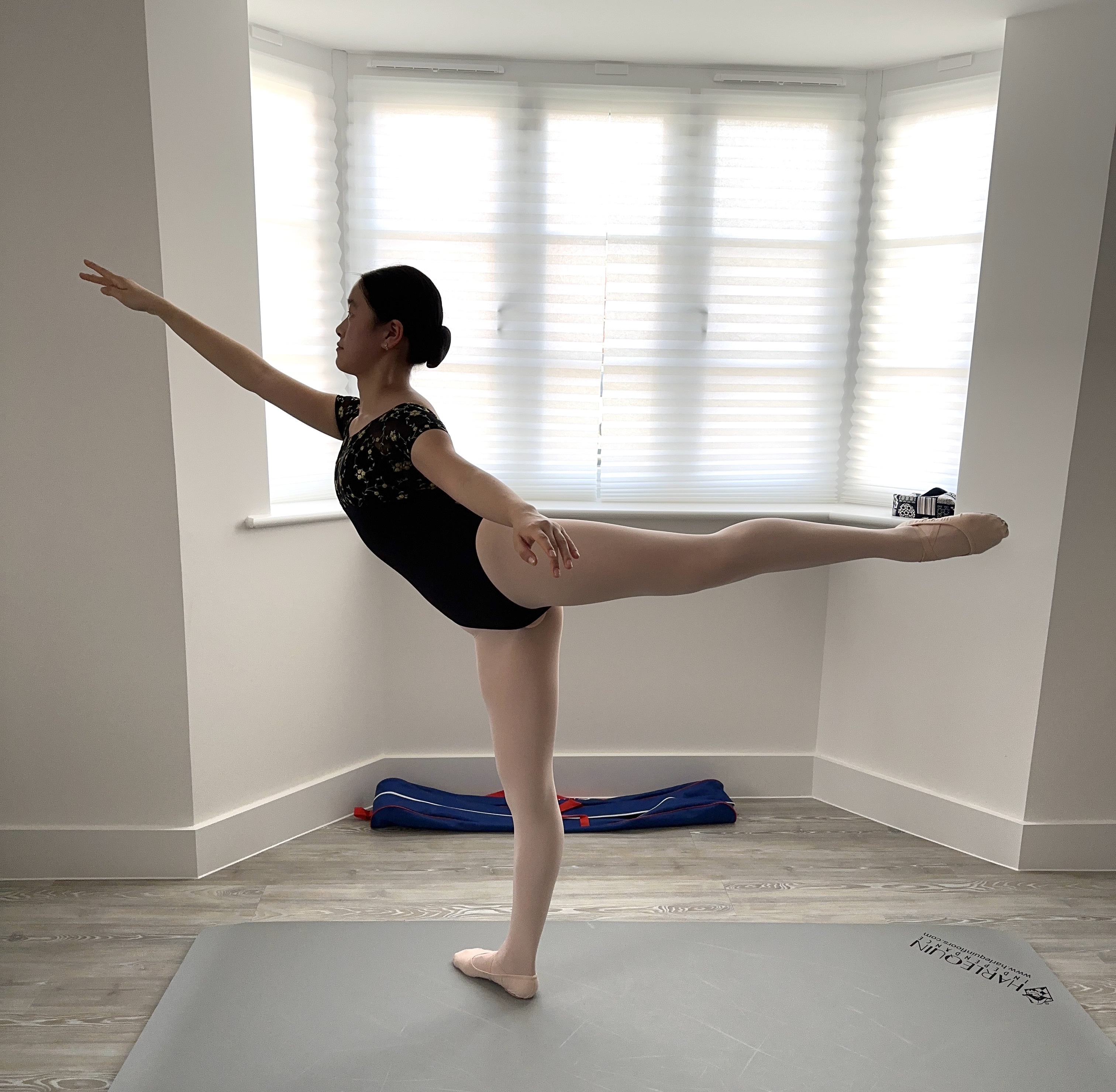 LOCK Jasmine - Provide an arabesque photo.jpg