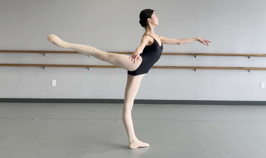 Screen Shot 2024-03-29 at 10.06.22 PM.png.png