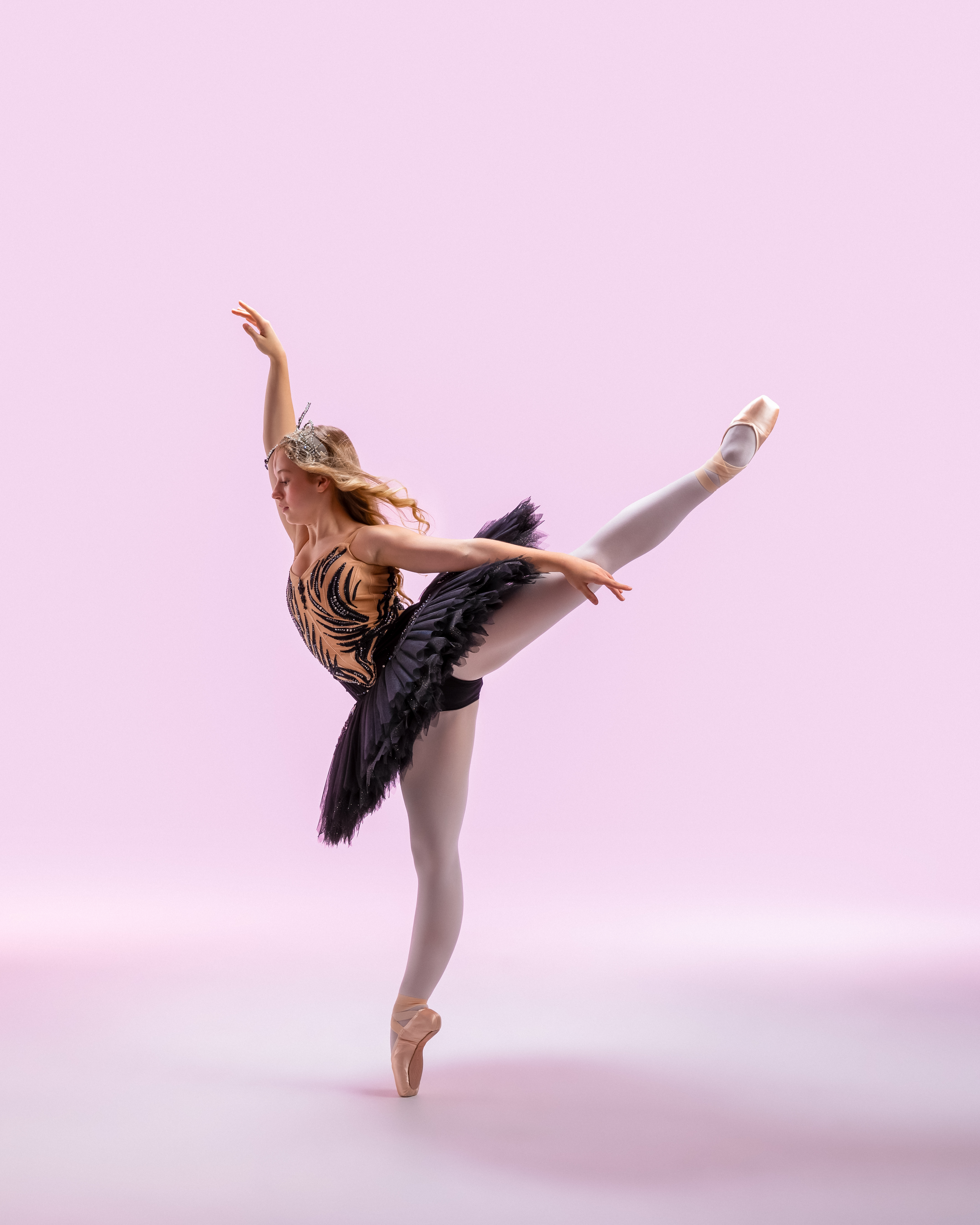 Copy of Holly Black Swan 2.jpg