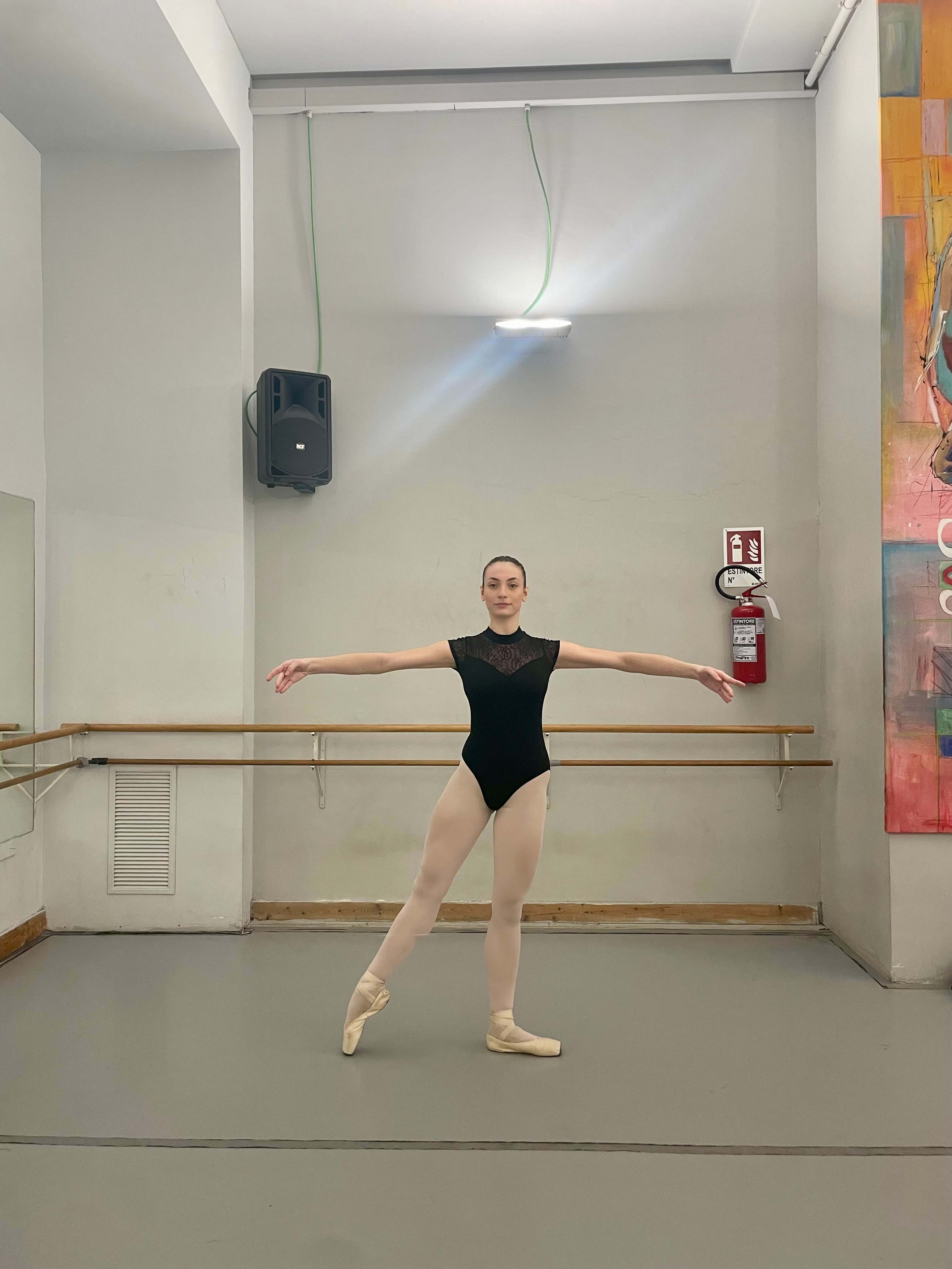 TENDU A TERRE 2 EN FACE.jpg