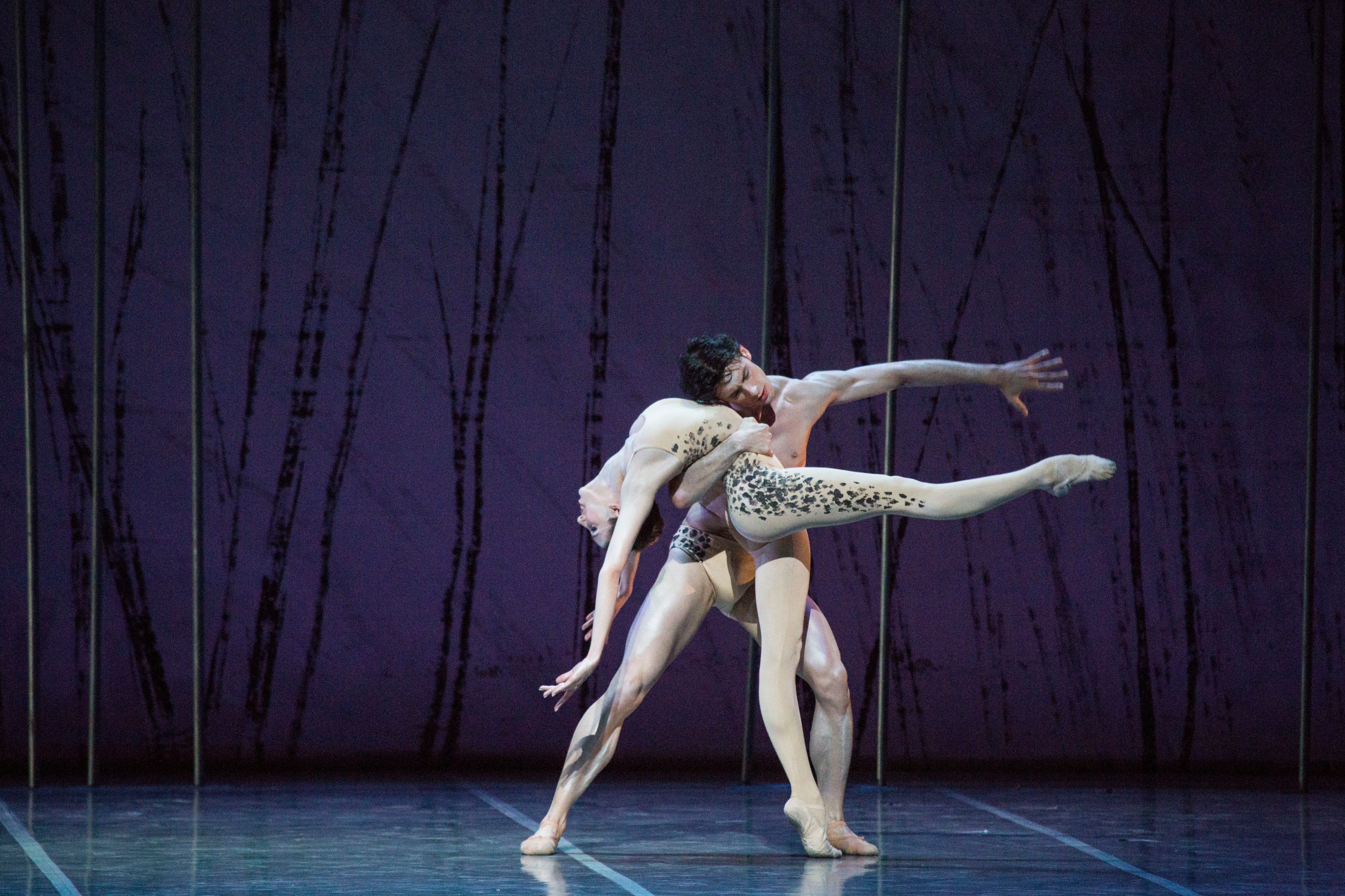 -Le sacre du printemps- Glen Tetley.jpg