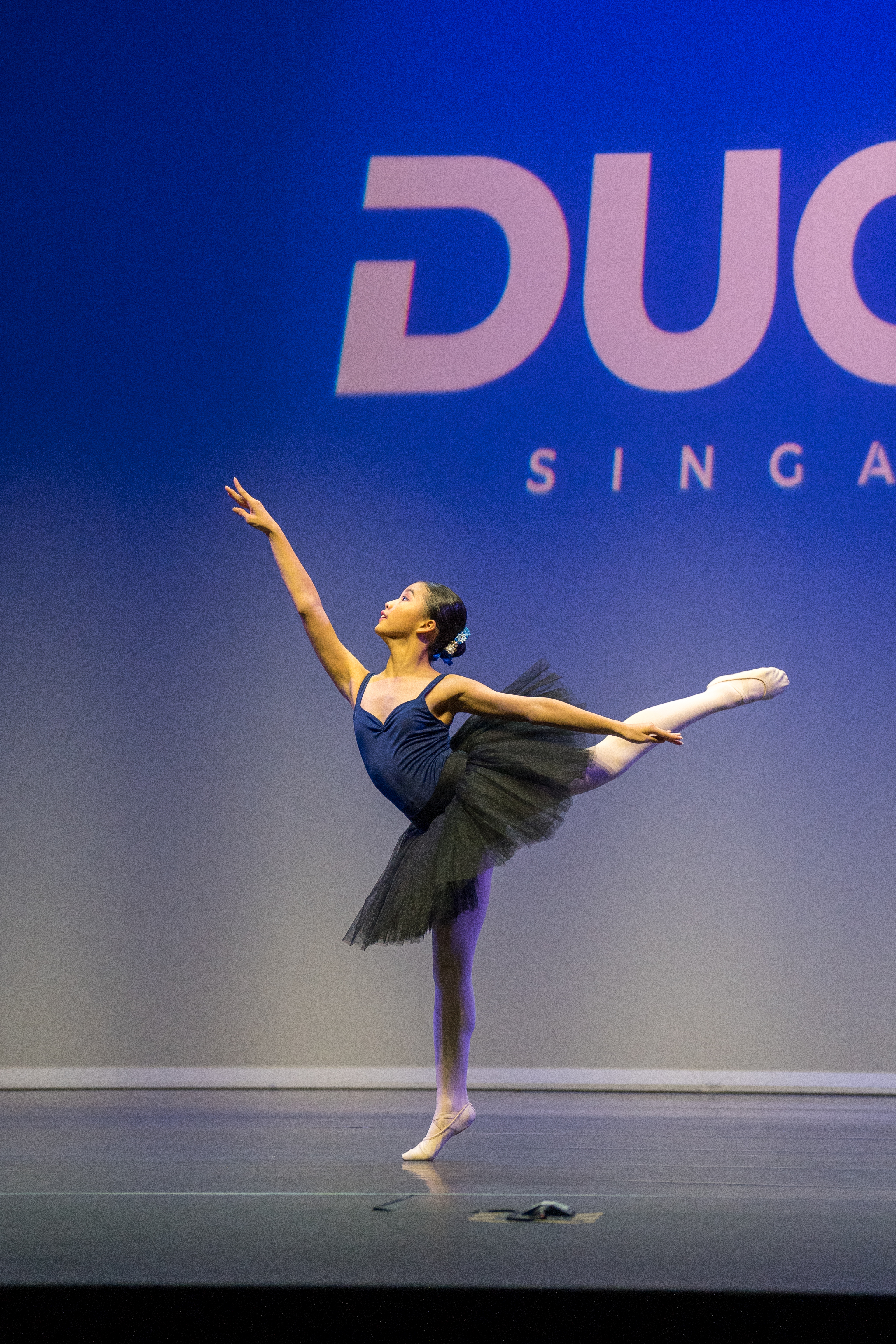 ducon_sg-2506 (1).jpg