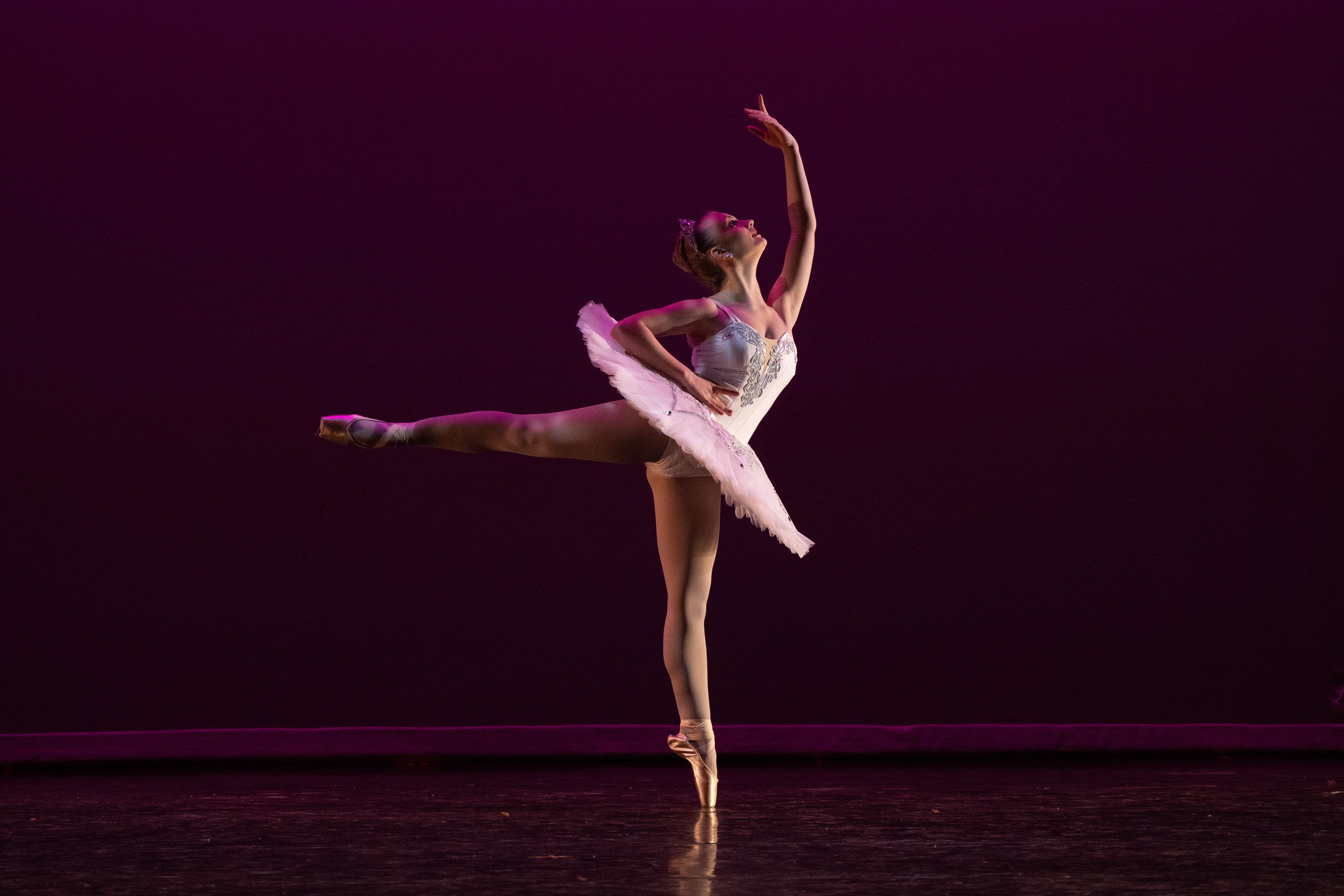 Raymonda Arabesque.jpg