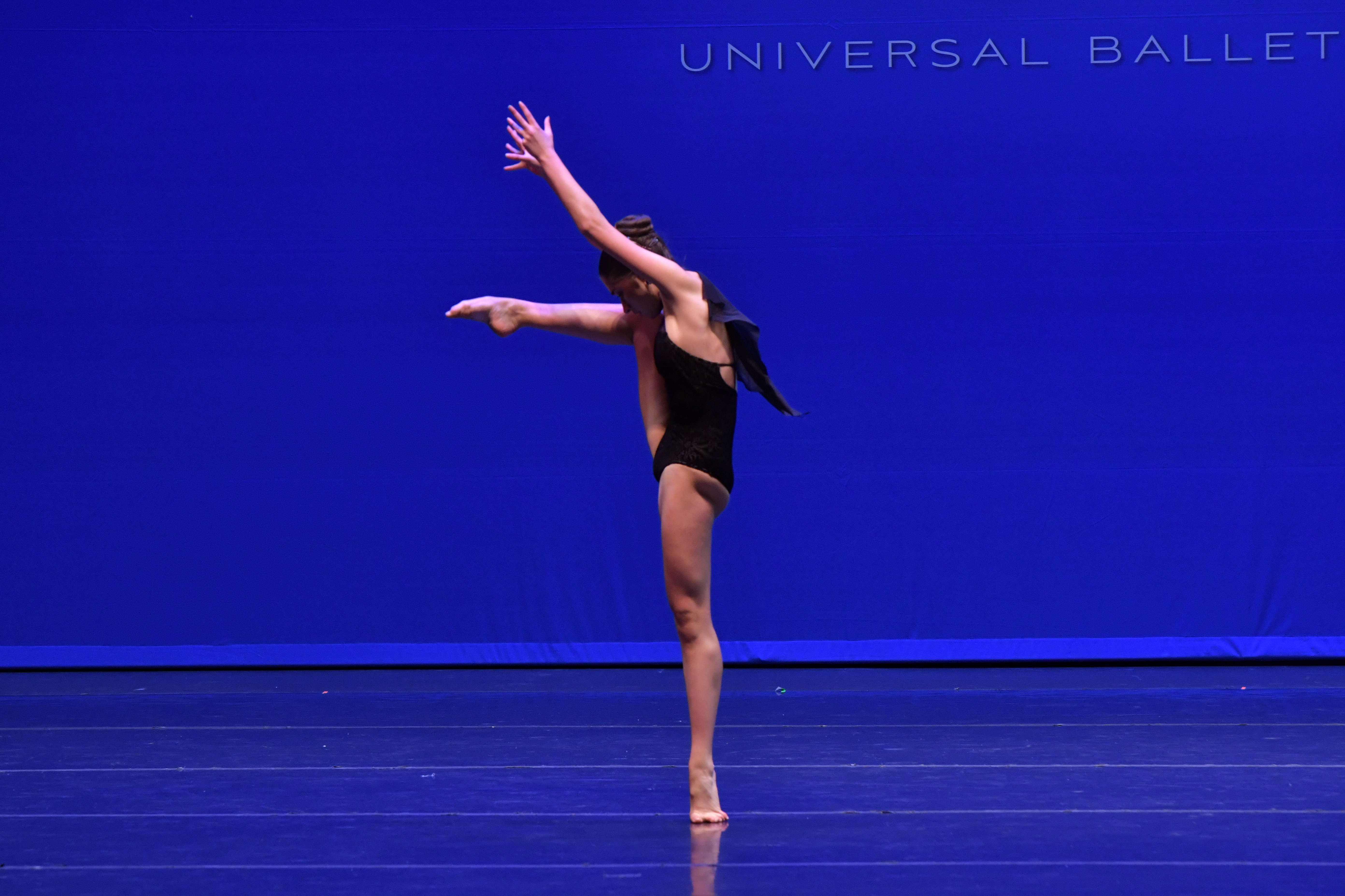 414_Investigation_THE ACADEMY OF DANCE ARTS_00011 - Copy.jpg