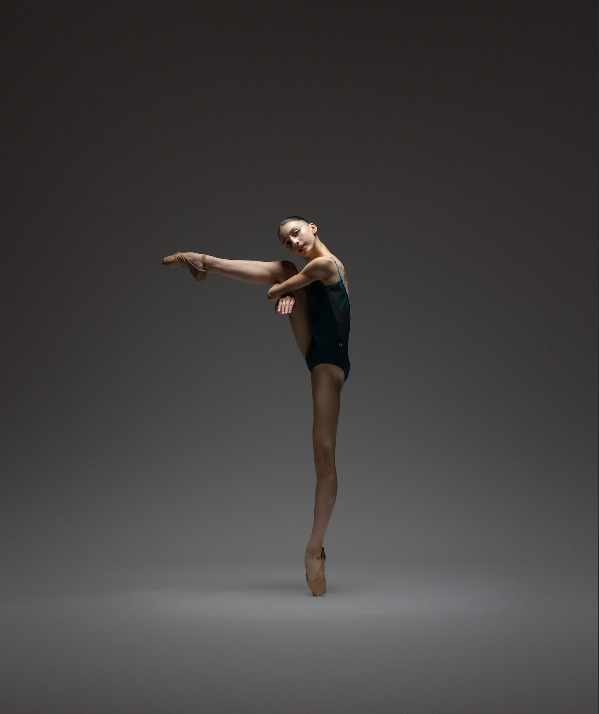 Screenshot 2025-02-25 at 11.11.37 AM.png