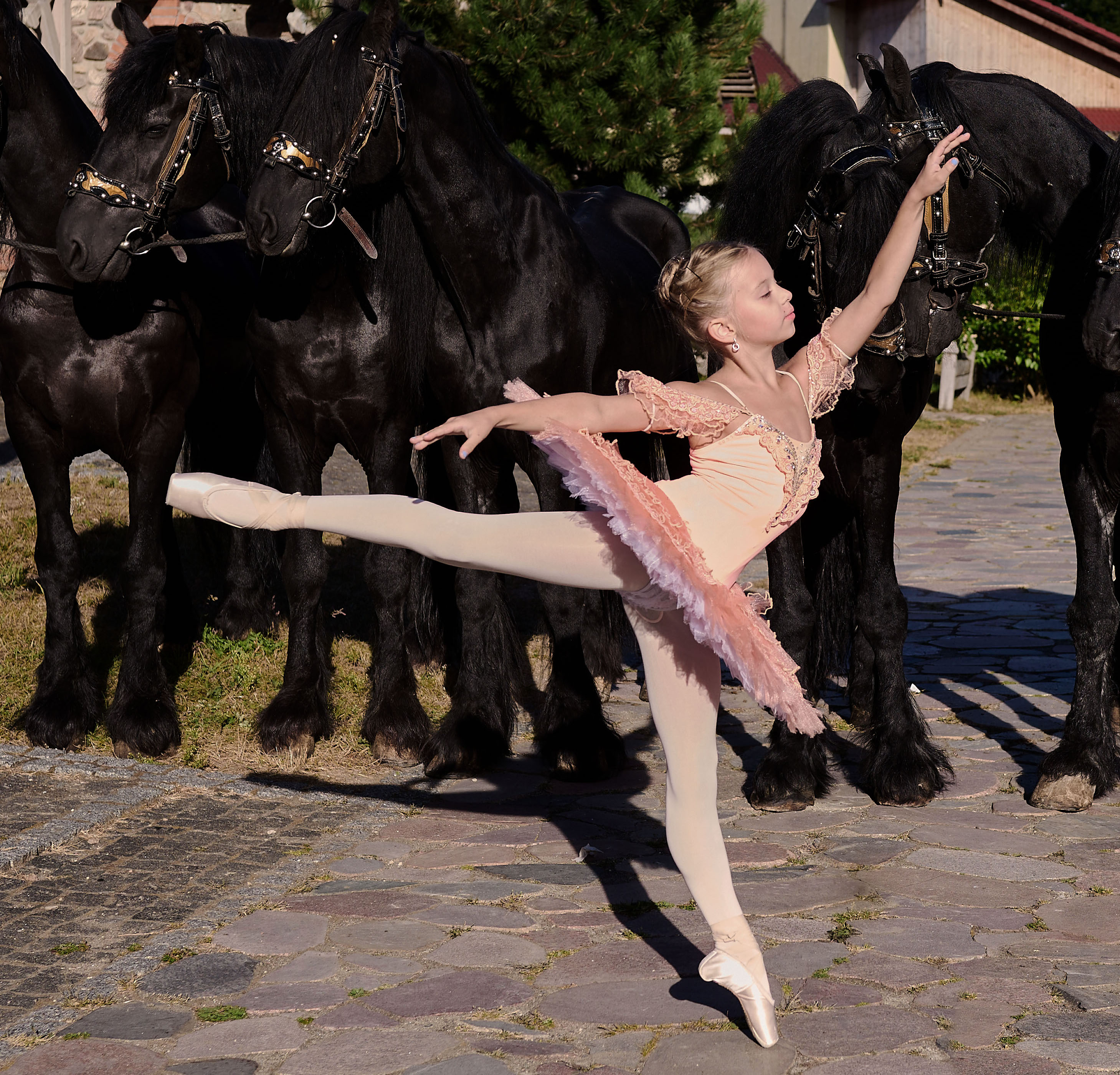 KARZIUK Marika - Provide an arabesque photo.jpg