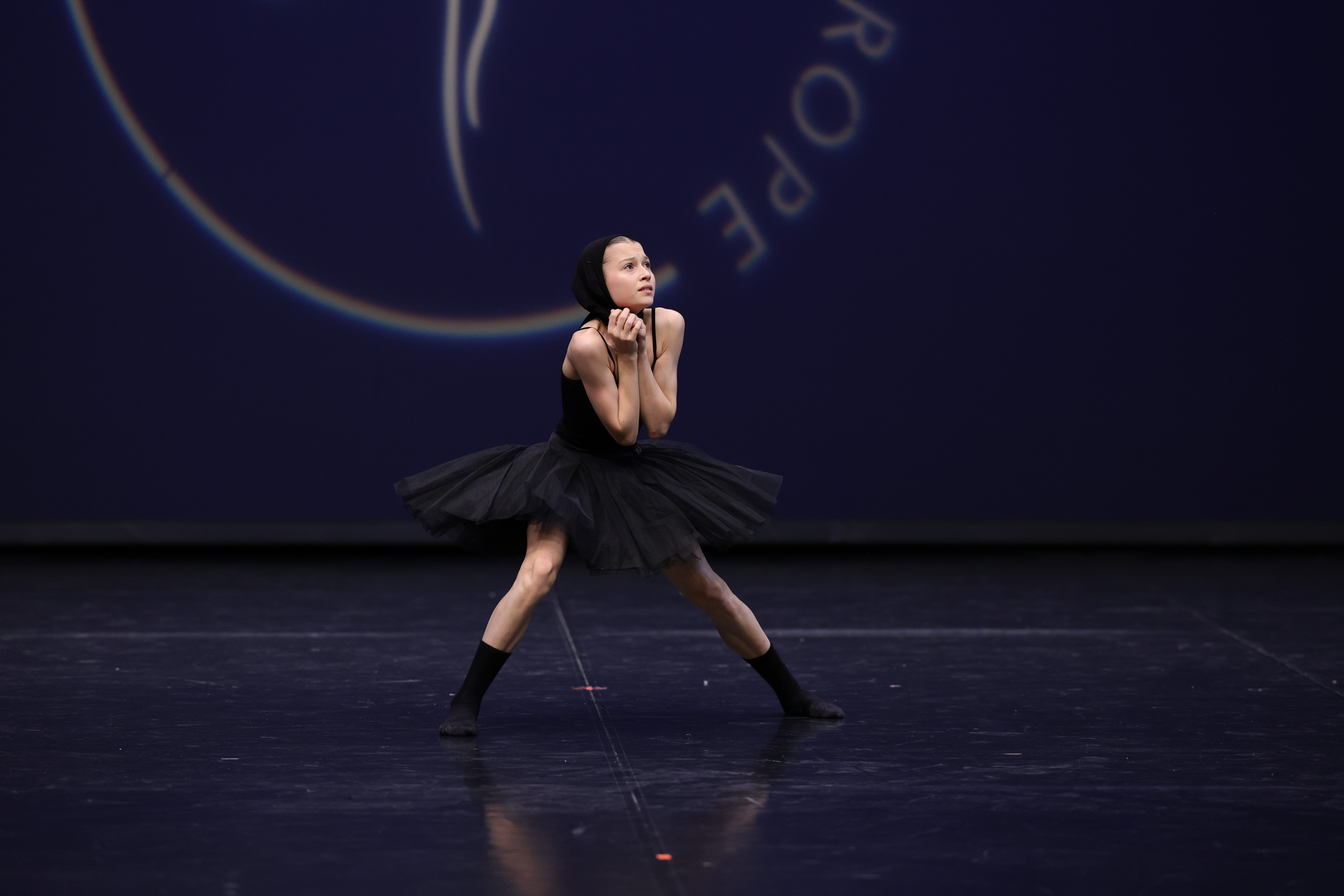 190GuosteRudinskaiteTheSwanCONT5741.jpeg