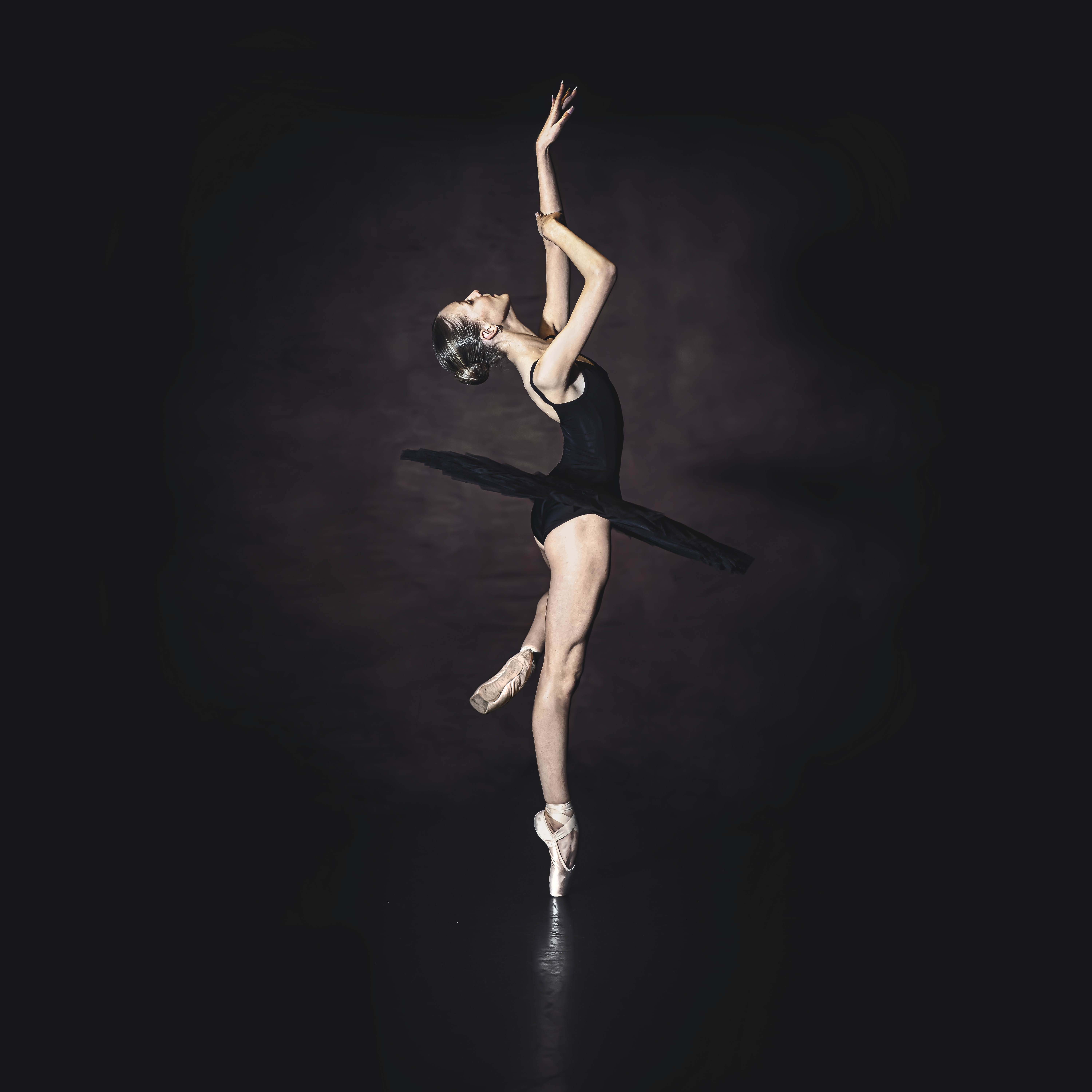 DSC07987 v4 copy.jpg