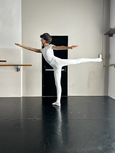 Adriano Loggia arabesque.jpg - copie.jpeg