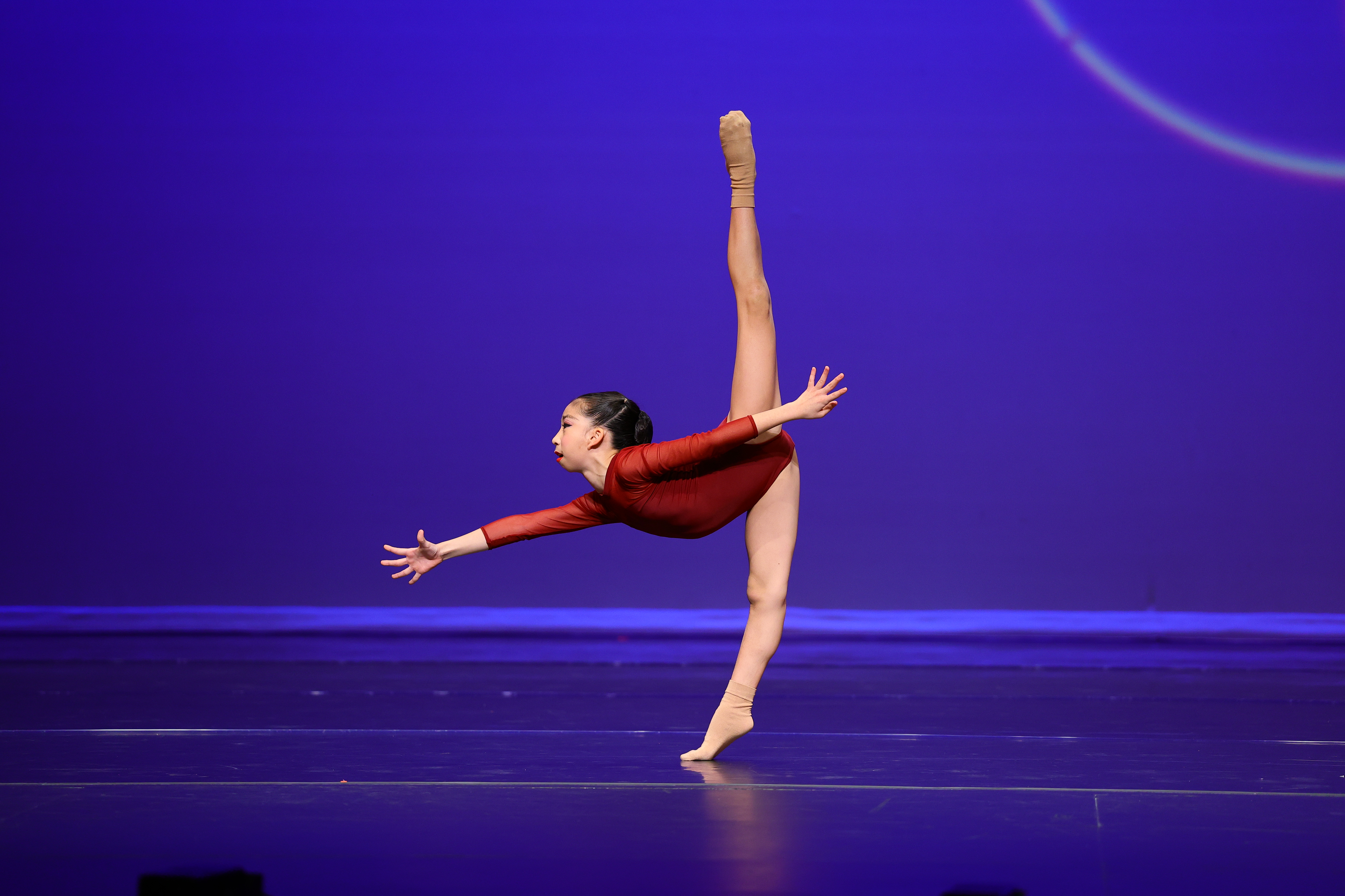 031LilyMisumiBloom2978.jpg  パンシェ.JPG