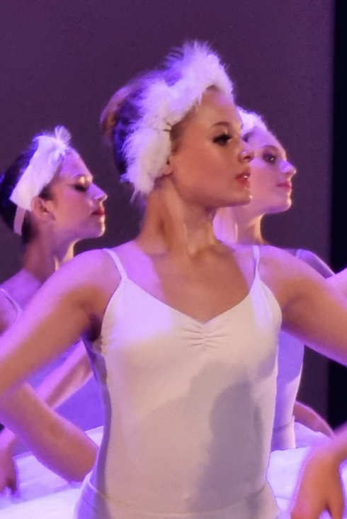 cygne 2023-11-07 103100.png