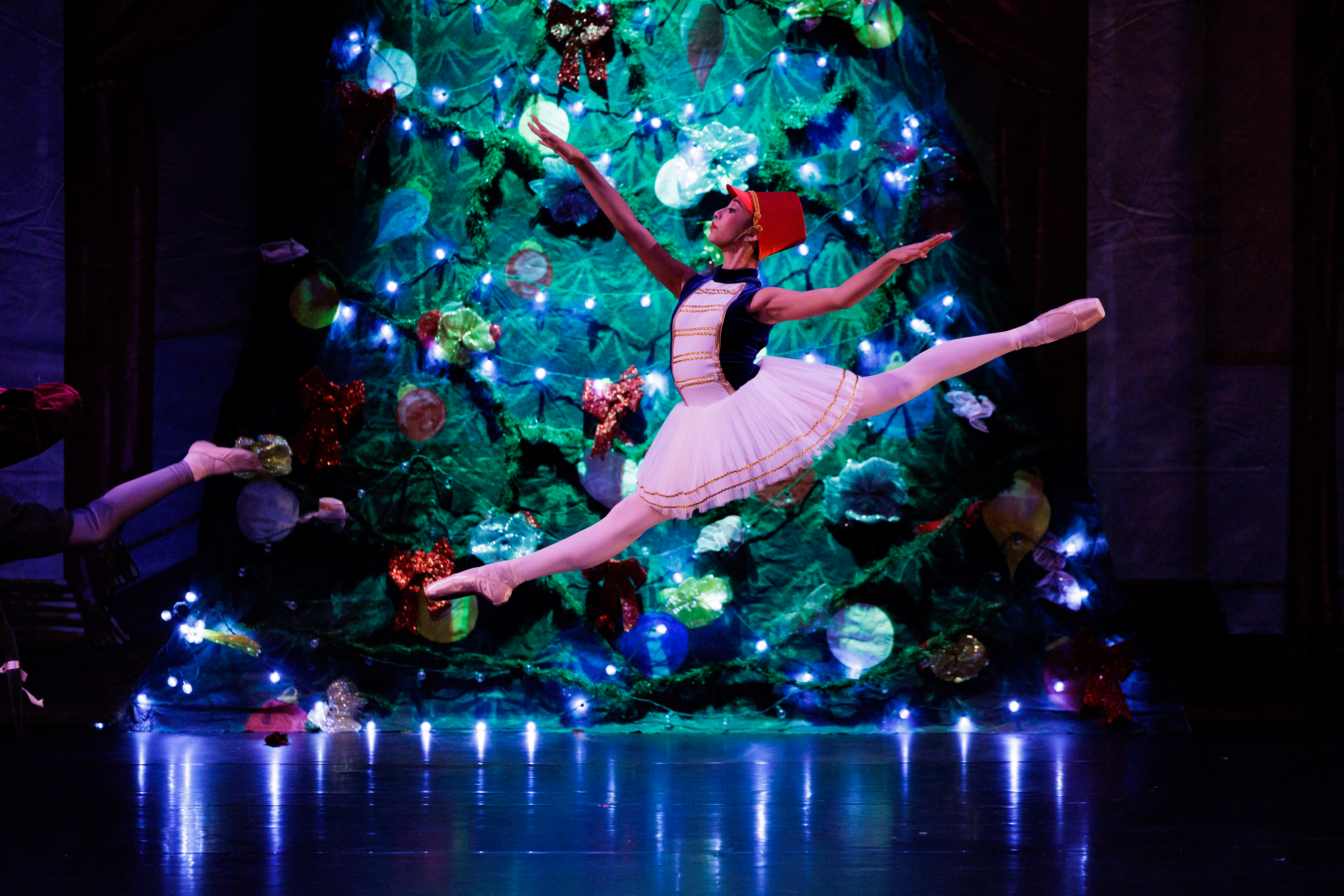 Nutcracker_0465.jpg