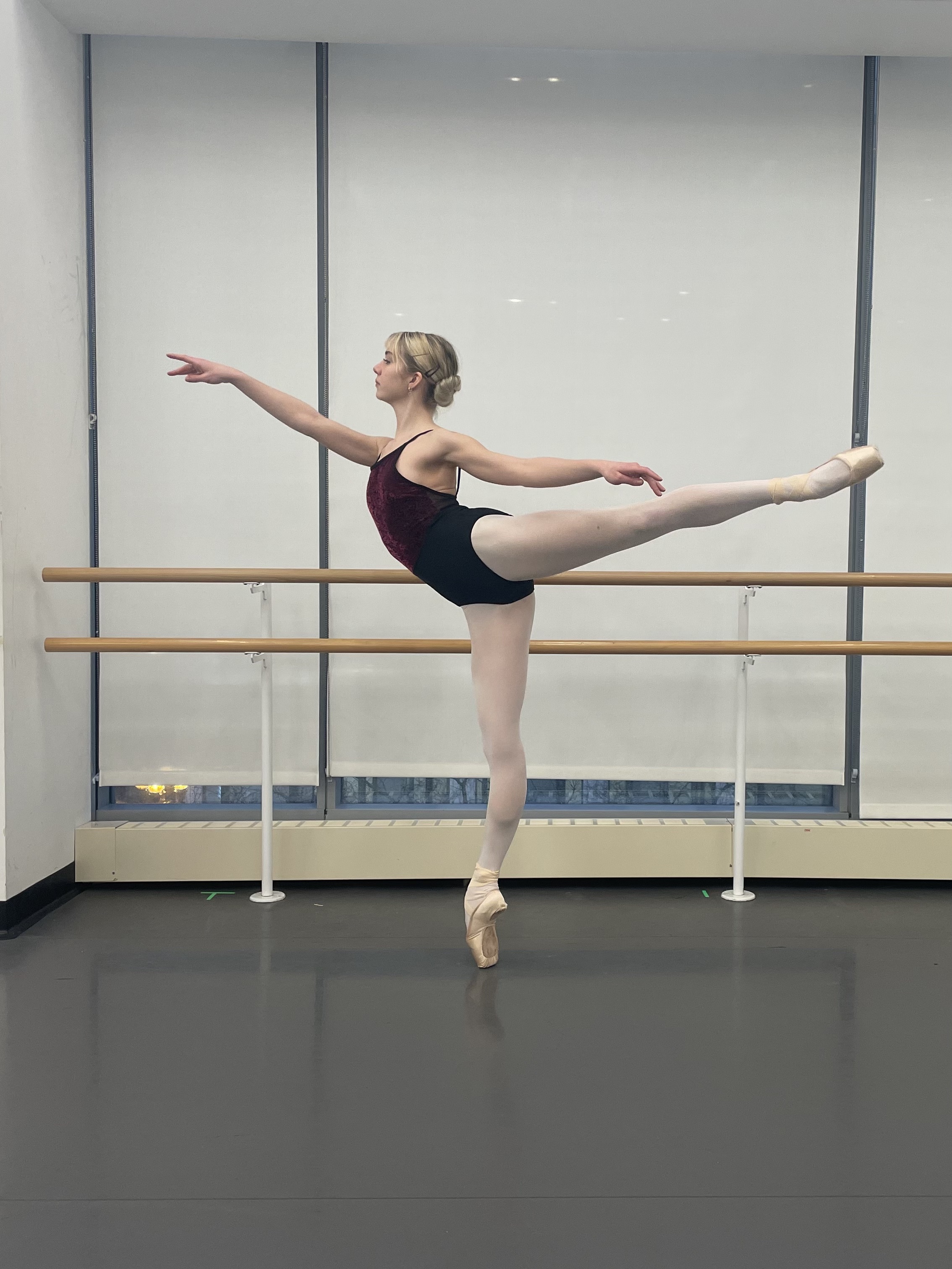 Maren Goddard Arabesque.jpg